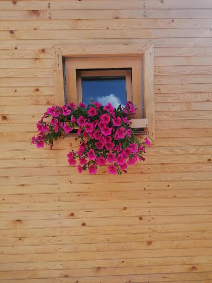 Hiska Zeleni Raj Villa Podnart Exterior foto
